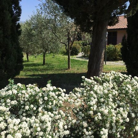 Villa Il Principino Country Resort Vinci Exterior photo